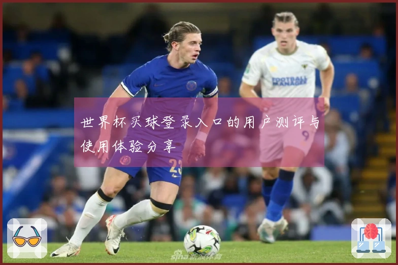 世界杯买球登录入口的用户测评与使用体验分享