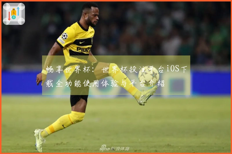 畅享世界杯：世界杯投注平台iOS下载全功能使用体验与平台介绍