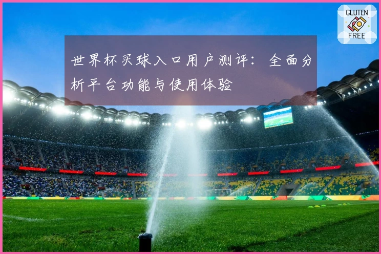 世界杯买球入口用户测评：全面分析平台功能与使用体验