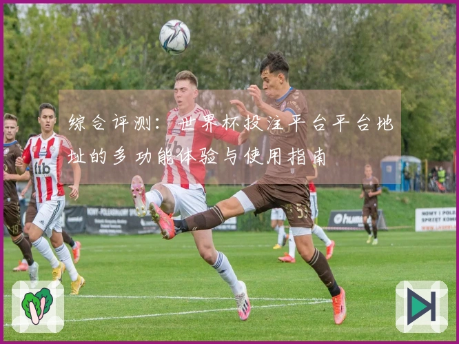 综合评测：世界杯投注平台平台地址的多功能体验与使用指南