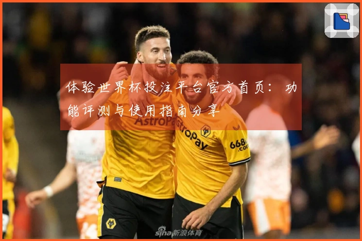 体验世界杯投注平台官方首页：功能评测与使用指南分享