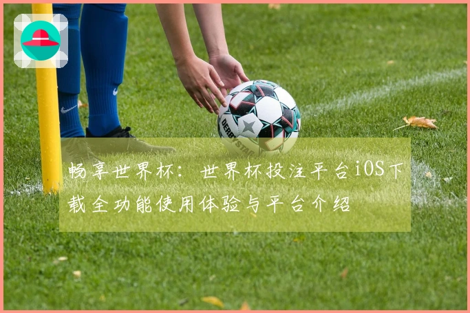 畅享世界杯：世界杯投注平台iOS下载全功能使用体验与平台介绍