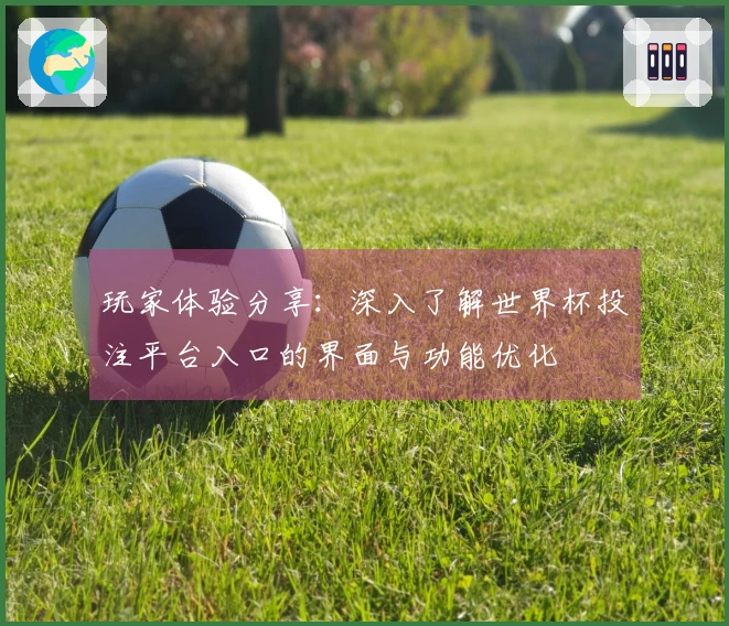 玩家体验分享：深入了解世界杯投注平台入口的界面与功能优化
