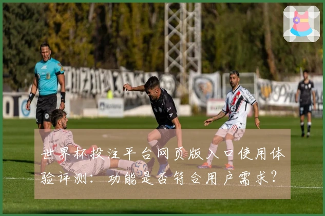 世界杯投注平台网页版入口使用体验评测：功能是否符合用户需求？