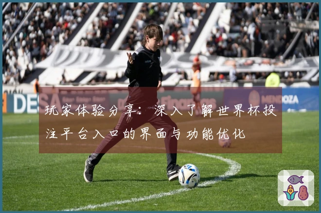 玩家体验分享：深入了解世界杯投注平台入口的界面与功能优化