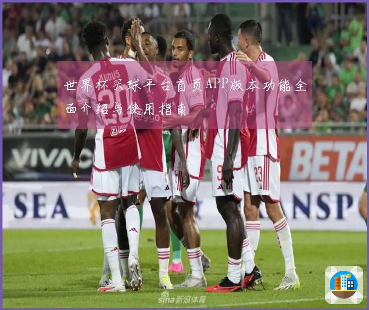 世界杯买球平台首页APP版本功能全面介绍与使用指南