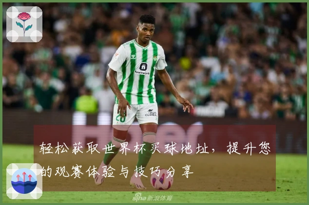 轻松获取世界杯买球地址，提升您的观赛体验与技巧分享